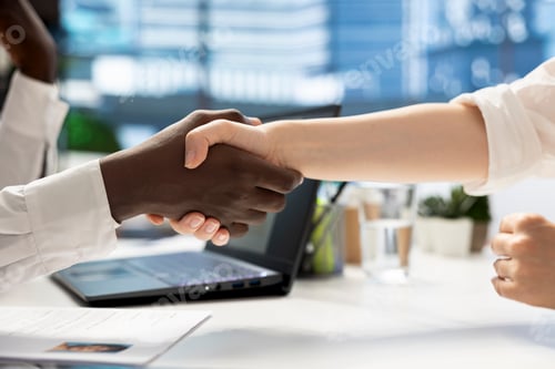 Preview: Businesspeople meeting for consultation, doing handshake, starting collaboration