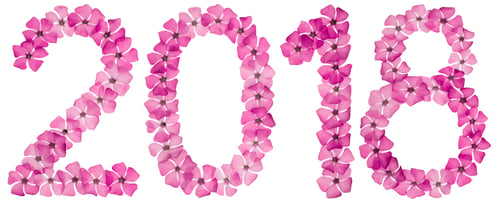 Preview: Inscription 2018, from natural pink flowers of periwinkle, isolated on white background