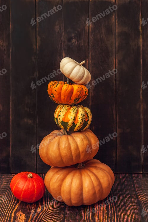 Preview: Pyramid of pumpkins on a brown wooden background