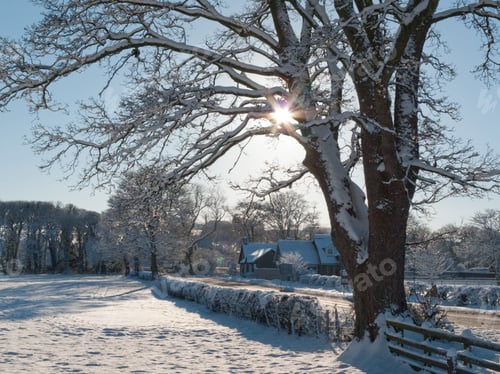 Preview: Snow-covered landscape, Berwickshire, Scotland