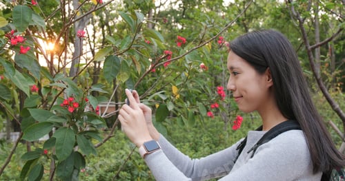 Preview: Young Woman taking photo on camera in the park