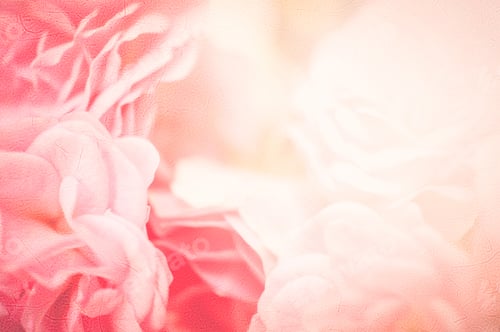 Preview: Sweet Pink Roses In Blur Style On Mulberry Paper Texture For Romantic Background