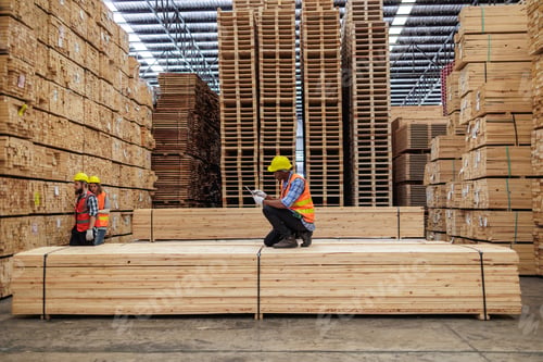 Preview: Efficient Workflow, Timber Yard Workers Measuring and Verifying Stock