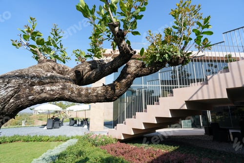 Preview: Garden decorated with tree part and flowers