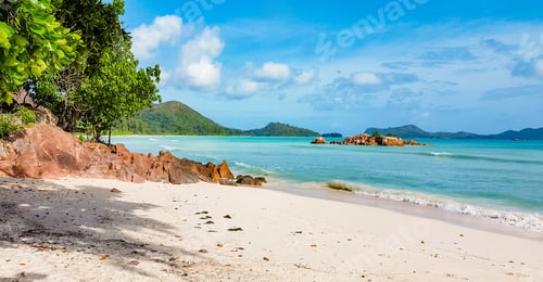 Preview: Sunny day on empty tropical beach with palm tree shade, turquoise sea and idyllic blue sky.