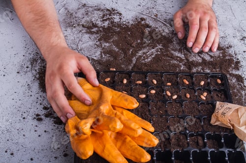 Preview: Workspace of agriculture gardener.