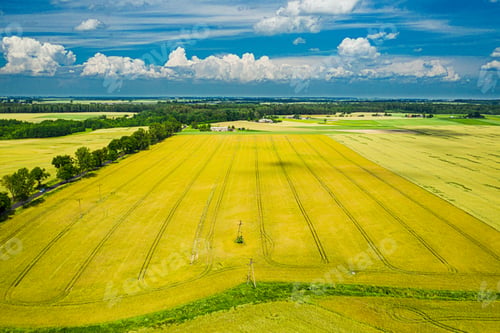 Preview: Aerial view of golden fields of wheat and blue sky