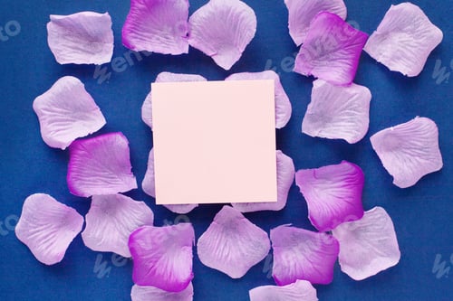 Preview: Beautiful lilac flower petals on a blue background with a square space for text