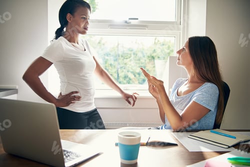 Preview: Two female business partners having a discussion