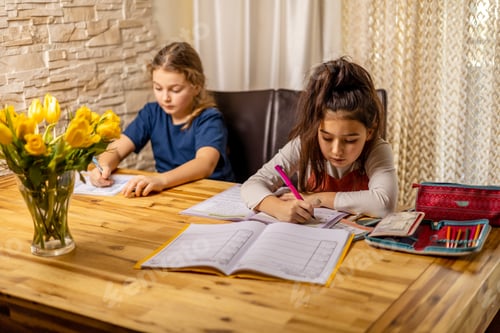 Preview: Two teen girls of ten years old children at home lessons, homeschooling, lectures, elementary school