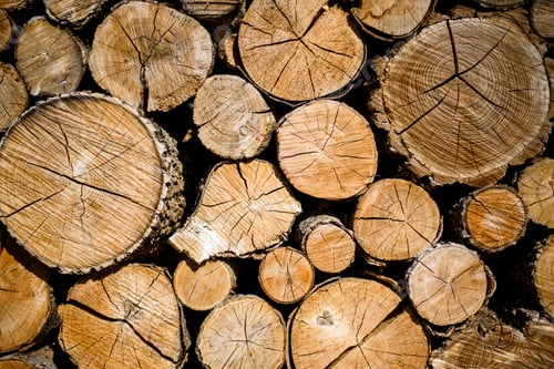 Preview: Many wooden logs of different sizes lying on top of each other textured background.
