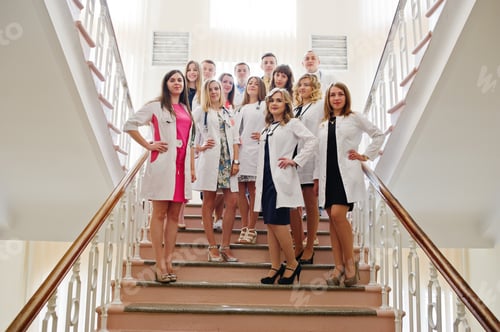 Preview: Group of young doctors in white coats posing in the hospital.