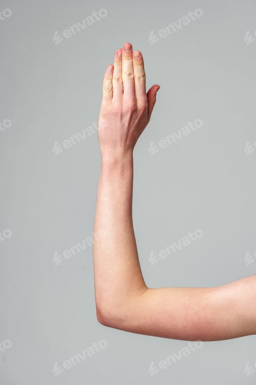 Preview: Human Hand Raised Against a Neutral Gray Background in a Studio Setting