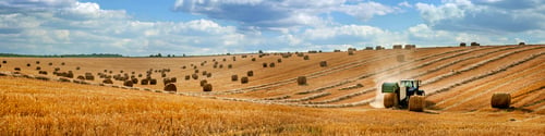 Preview: panoramic view of a field with a tractor with a baler harvesting straw