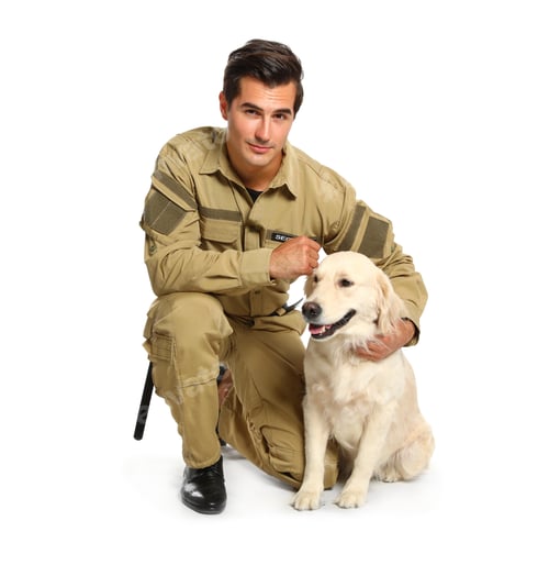 Preview: Male security guard in uniform with police dog on white background