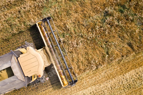 Preview: Aerial view of combine harvester harvesting large ripe wheat field. Agriculture from drone view