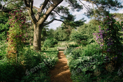 Aperçu: Serene garden path with vibrant flowers.