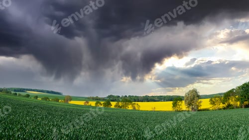 Preview: Countryside view at French corn and oilseed feelds under moody sky