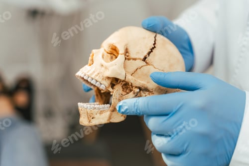 Preview: Close-up of doctor orthodontist explaining dental treatment