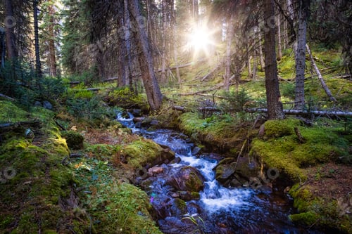 Preview: Scenic View of Glacier River in the Green Canadian Rain Forest