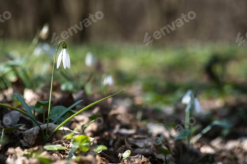Preview: Spring is here