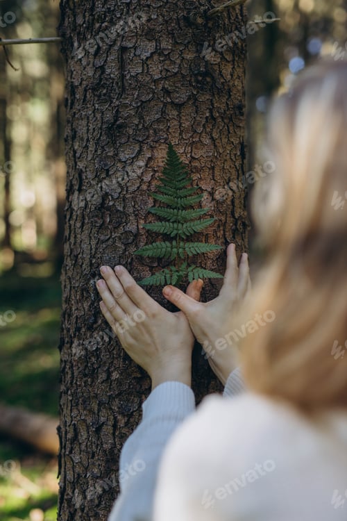 Preview: Young woman holding a fern leaf close to a tree in a serene forest setting