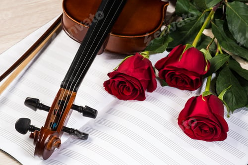 Preview: Violin, rose and music books