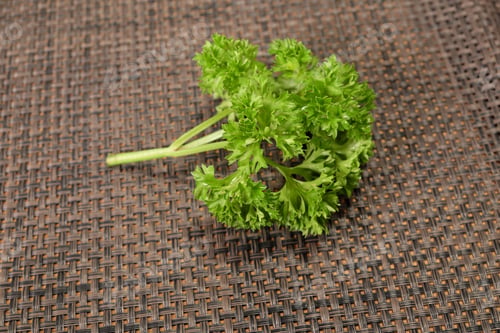 Preview: Parsley On Wood Floor