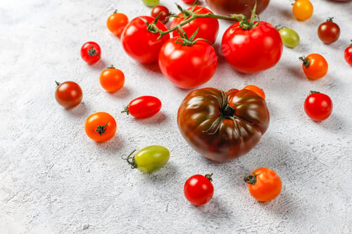 Preview: Fresh organic various tomatoes.