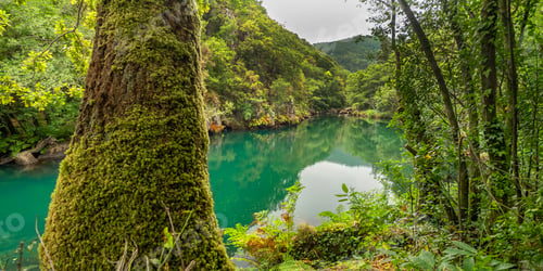 Preview: Fragas do Eume Natural Park, Pontedeume, Spain