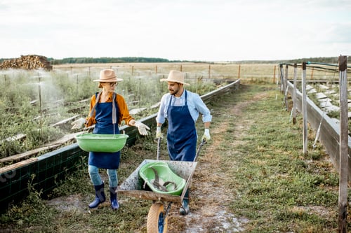 Preview: Two workers on the farmland outdoors