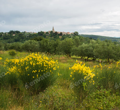 Preview: Medieval town of Groznjan in Croatia