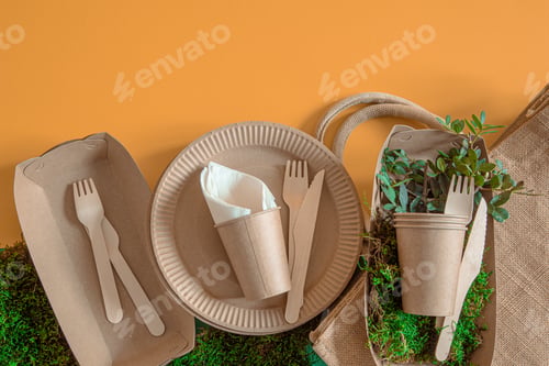 Preview: Eco-friendly, disposable, recyclable tableware on a colored background .