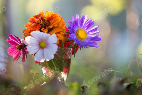 Preview: Close-up of beautiful autumn bright multicolored field flowers composition