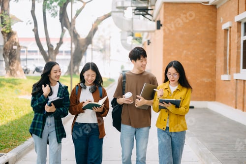 Preview: Young Asian People college students and a female student group work at the campus park