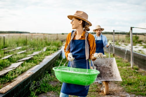 Preview: Workers on the farmland for growing snails