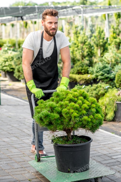Preview: Delivery in the flowers shop