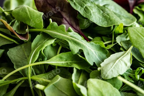 Preview: Leaves mix of spinach greens, arugula and basil