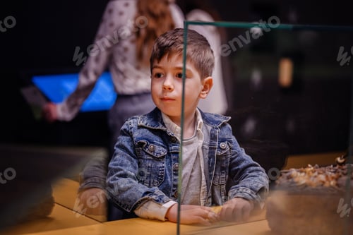 Preview: Curious Young Boy Observing Exhibit in Museum