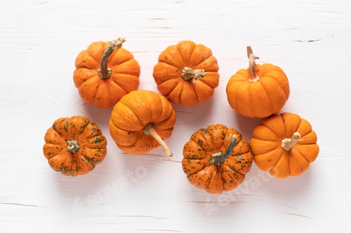 Preview: Small decorative pumpkins, halloween and thanksgiving background