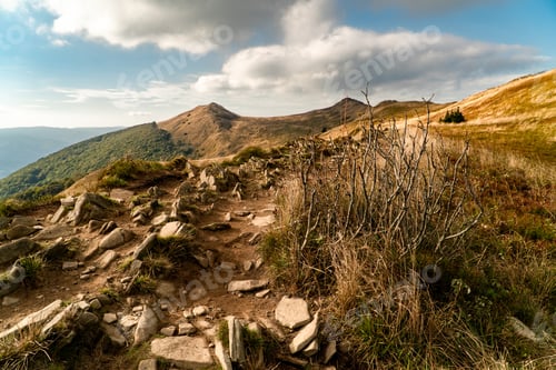 Preview: Polonina Wetlinska, Bieszczady mountain, Bieszczady National Park, Poland.