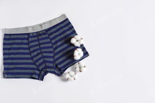 Preview: Comfortable men's underwear and cotton flowers on white background, flat lay. Space for text