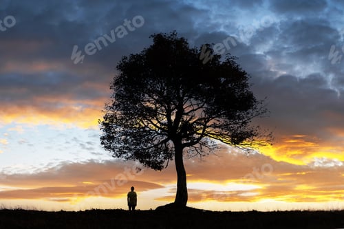 Preview: Silhouette of lonely human under big majestic tree