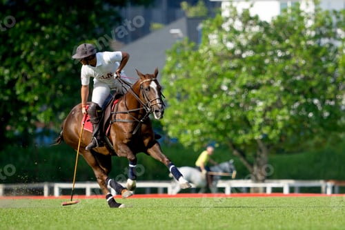 Preview: Portrait of a polo player at full speed on the polo field