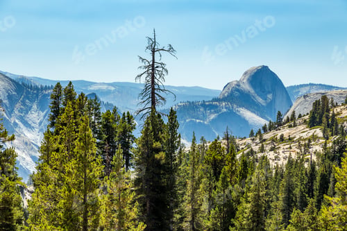 Preview: Half Dome Is A Granite Dome At The Eastern End Of Yosemite Valley In Yosemite National Park