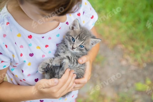 Preview: Little kittens in the hands of children. Selective focus.