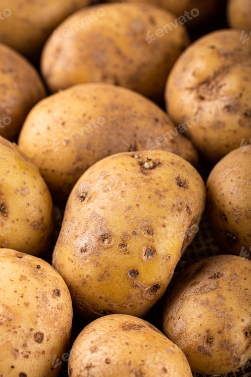 Preview: Raw whole washed organic potatoes