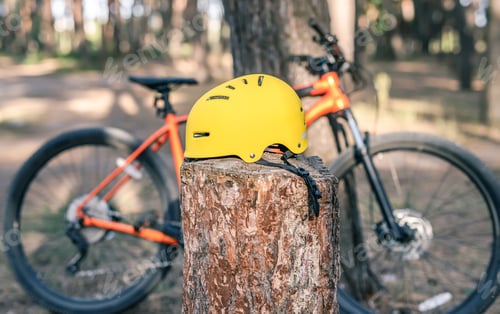 Preview: Bicycle helmet on stump in forest