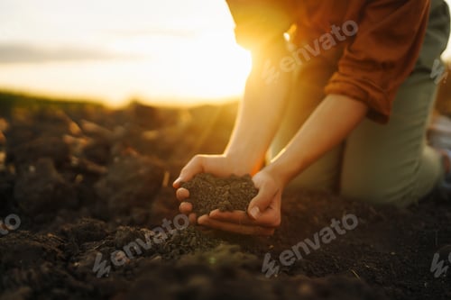 Preview: Woman farmer's hand touch soil, check its health before growing vegetables. Concept of agriculture.