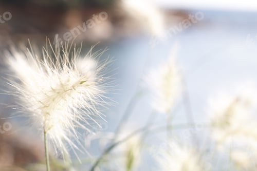 Preview: Soft natural background